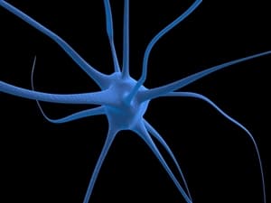 A blue, stylized illustration of a single neuron with multiple branching extensions against a black background, symbolizing the complexity of brain function often examined in car accident compo cases.